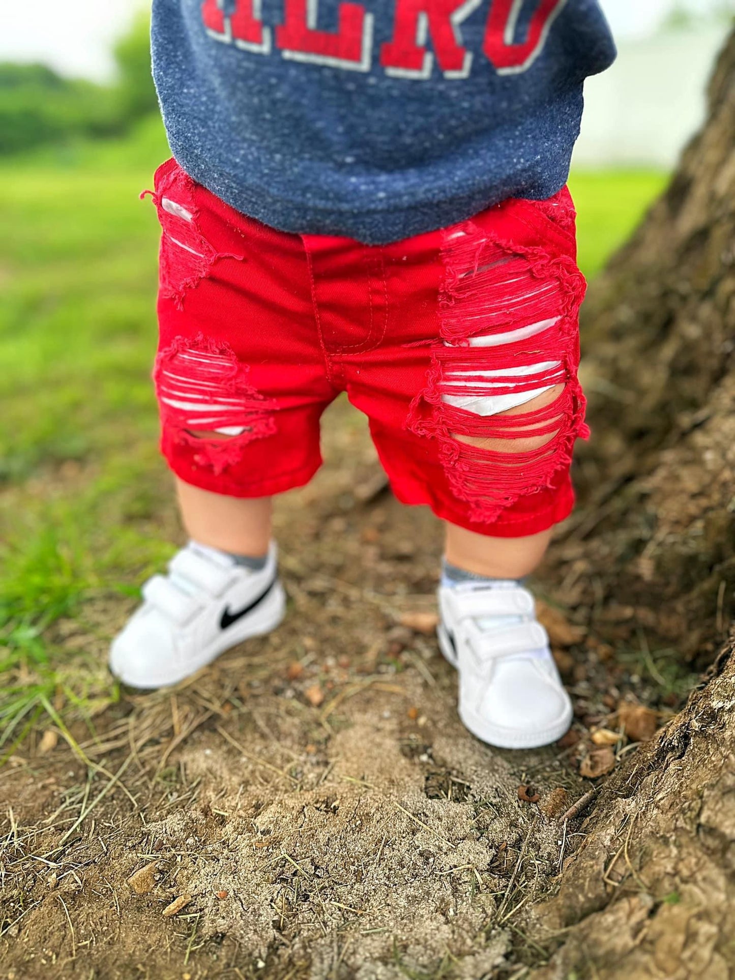 Distressed Shorts